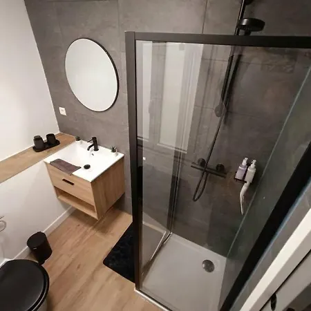 公寓 L Angelus 卢德