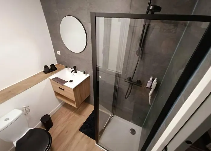 公寓 L Angelus 卢德